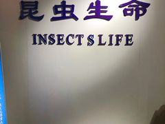 -上海昆虫博物馆