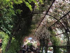 -The Grounds of Alexandria