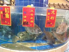 水产区-龙的酒楼·手工早茶·顺德菜(近良路店)