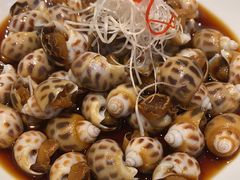 -宁波柏悦酒店·钱湖渔港