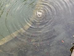 -三里河公园