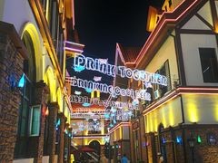 -第35届青岛国际啤酒节