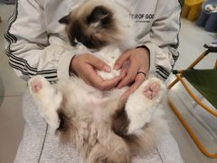 -平行世界·猫咖(首经贸店)