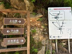 -大岭沟猕猴桃谷风景区
