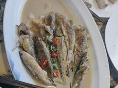 -桃源人家(东门店)