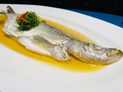 鸡油花雕蒸大白水-宴周康·精致江浙菜(周浦店)