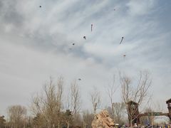 -绿堤公园