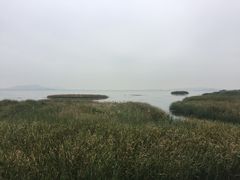 -苏州太湖国际会议中心