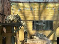 -青藏高原野生动物园