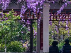 -郑和公园