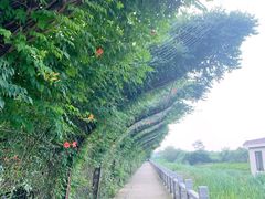 -南通洲际绿博园