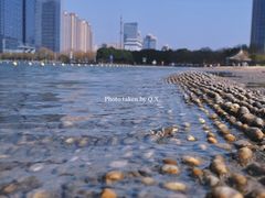 -天鹅湖体育公园
