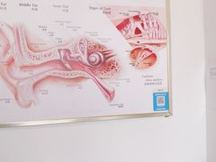 -自然之声助听器·呼吸机(和平店)