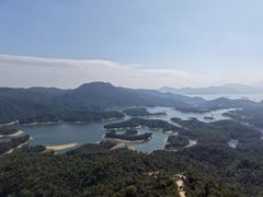 -金凤凰健康养生·足疗·推拿·SPA(横岗店)