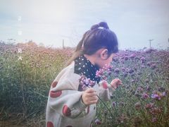 -西海岸生态观光园