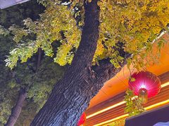 -惠宾饭庄(中山路店)