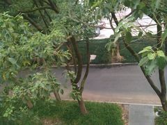 -浙江大学(玉泉校区)