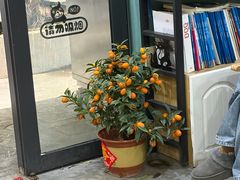 -严国平动物医院(德政总院)