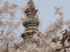 -西安青龙寺遗址景区