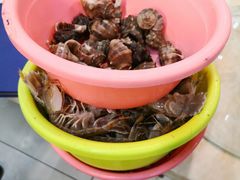 -雅逸居海鲜小厨