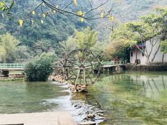 -靖西鹅泉风景区