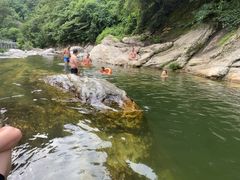 -九寨沟石锅鱼(沣峪口二十年店)