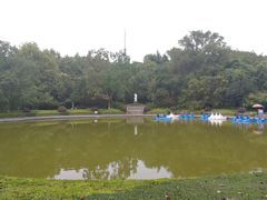 -赭山公园
