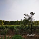去滴水湖玩最大的麻烦事是吃饭，真的基本没有选择