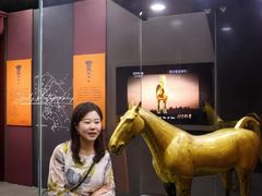 -昆明市博物馆(昆明市文物保护和考古研究中心)