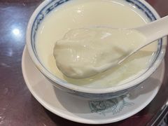 无糖姜撞奶-民信老铺(双皮奶博物馆店)