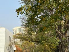 -辽宁大学(崇山校区)