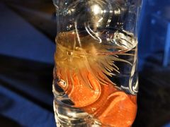 -查汶海滩