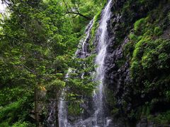-望天鹅景区