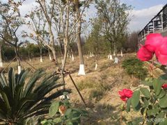 -呼吸森林·生态农庄农家乐私房菜