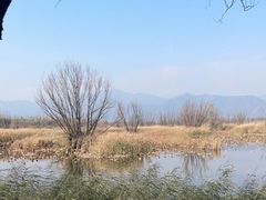 -野鸭湖国家湿地公园