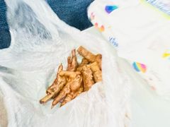 -顺城金记卤鸡·清真