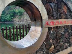 -王借岗森林公园