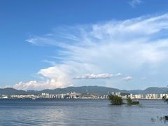 -洱海月湿地公园
