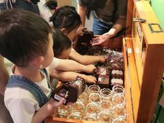 -Behring World of Animals(上海自然博物馆店)