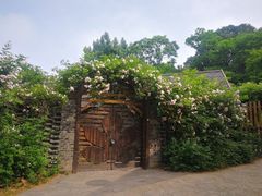 -T80科技文化国际社区-停车场
