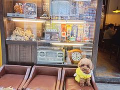 -金龙咖喱