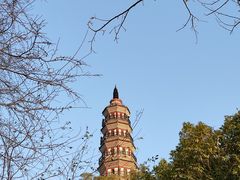 -顺峰山公园