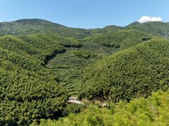 -宁波浙东大竹海景区