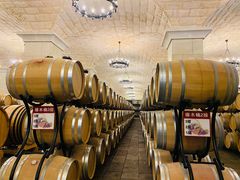 -北京张裕爱斐堡酒庄