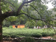 -杭州黄龙洞