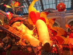 -拉斯维加斯永利酒店