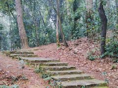 -岳麓山风景名胜区