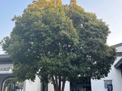 -周震馄饨(雅达阳羡溪山店)