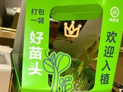 -海底捞火锅(王府井店)