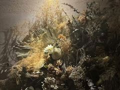 -villaa·别墅·融合菜西餐厅
